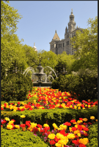 City Hall Park in Spring