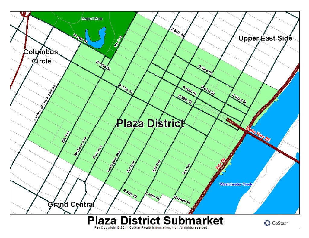 Small Office in the Plaza District NYC