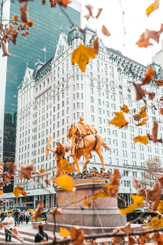 harold-wainwright-rdWBLlND65w-unsplash